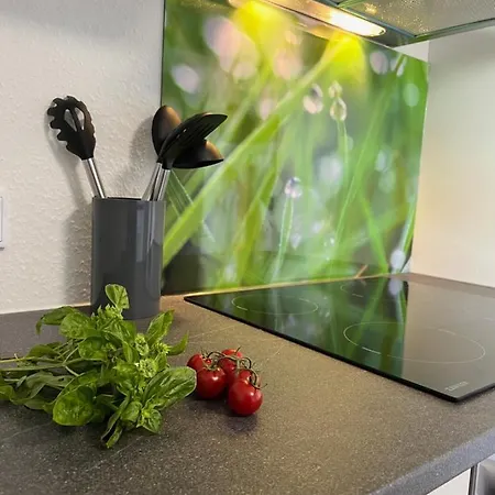 Apartment Ferienwohnung Oberursel *